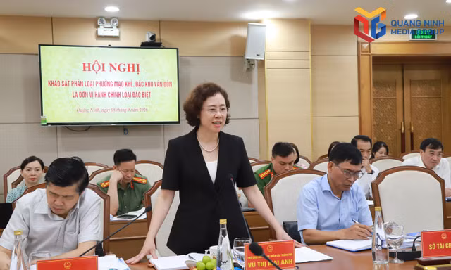 Xem xét phân loại Mạo Khê, Vân Đồn là đơn vị hành chính cấp xã loại đặc biệt