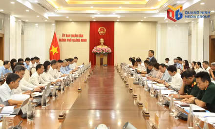 UBND thành phố làm việc với Tập đoàn Công nghiệp Than - Khoáng sản Việt Nam
