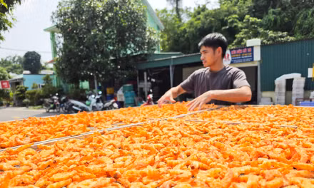 Nông nghiệp Quảng Ninh: Phát triển theo hướng hiện đại, bền vững, tuần hoàn