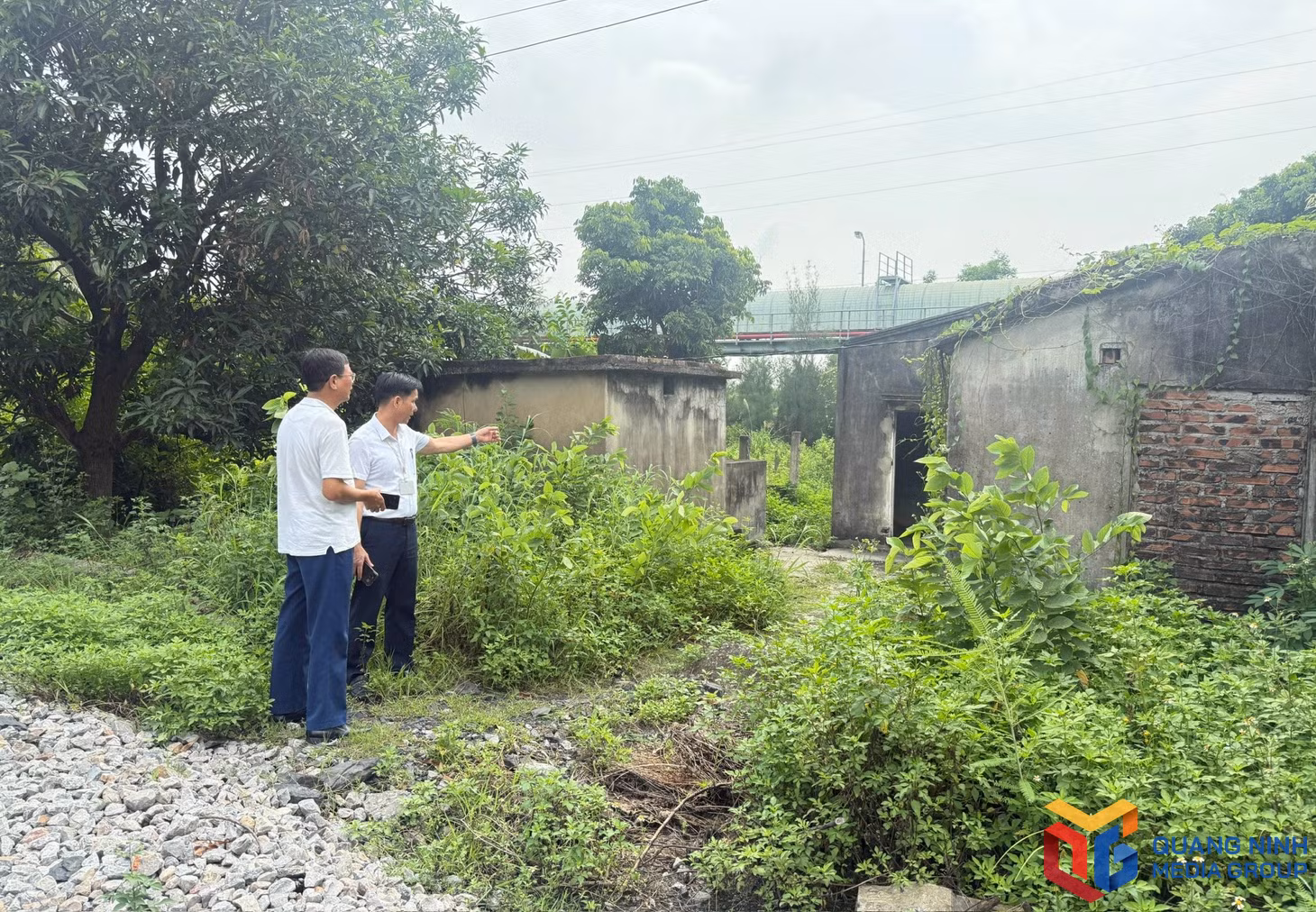 bqn_br_de-hoang.jpg