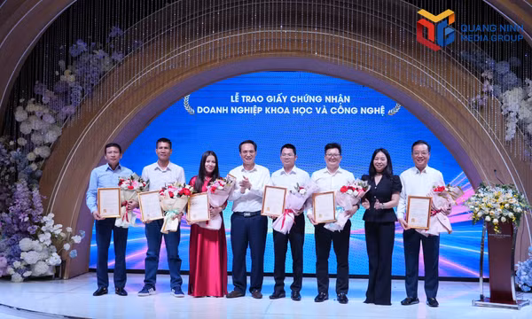 Công ty TNHH Đầu tư phát triển sản xuất Hạ Long đóng gói hàu.