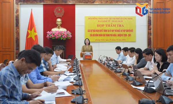 Thẩm tra các tờ trình, dự thảo nghị quyết