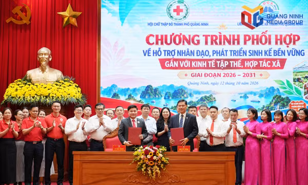 Phát huy vai trò kinh tế tập thể, hợp tác xã trong mô hình phát triển mới của thành phố 