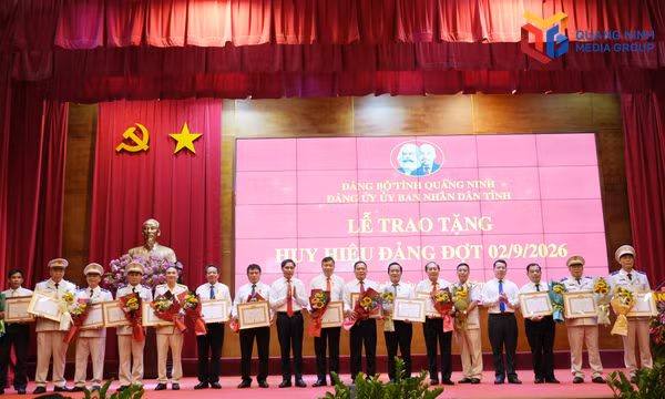 Đảng uỷ UBND tỉnh trao tặng huy hiệu Đảng