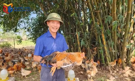 Mở rộng thị trường từ liên kết chuỗi tiêu thụ