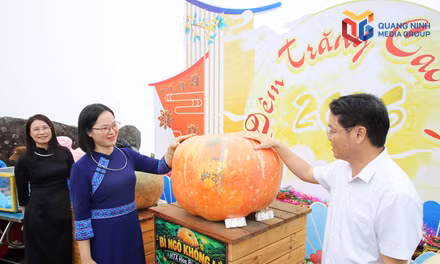 Hoành Mô phát triển sản phẩm OCOP từ lợi thế địa phương