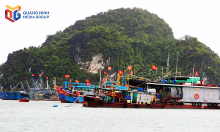 "5 không” để gỡ "thẻ vàng”