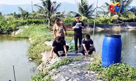 Thưởng người dân sớm bàn giao mặt bằng