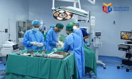 Kíp bác sĩ Bệnh viện Việt Đức và Bệnh viện Đa khoa thành phố Quảng Ninh phối hợp chặt chẽ để triển khai ca ghép thận, tối ngày 17/9/2026.