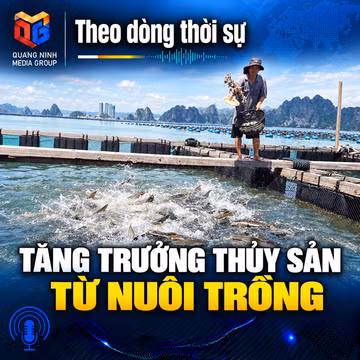 Theo dòng thời sự 16/9/2026: Tăng trưởng thủy sản từ nuôi trồng