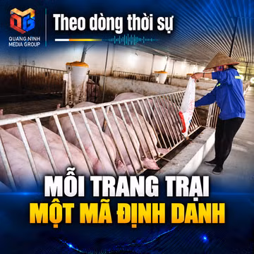 Theo dòng thời sự 07/10/2026: Mỗi trang trại một mã định danh