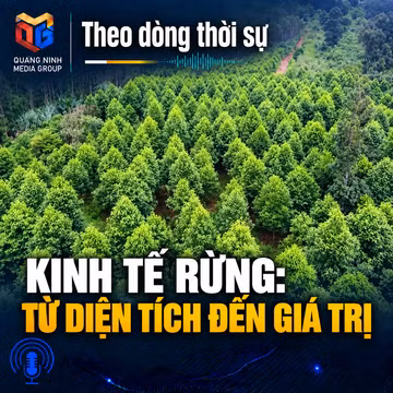 Theo dòng thời sự ngày 09/9/2026: Kinh tế rừng: từ diện tích đến giá trị