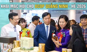 Khai mạc Hội chợ OCOP Quảng Ninh - Hè 2026