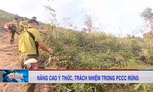Nâng cao ý thức, trách nhiệm trong PCCC rừng