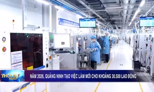 Năm 2026, Quảng Ninh tạo việc làm cho khoảng 30.500 lao động