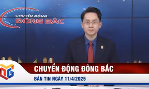 Chuyển động Đông Bắc ngày 11/4/2026