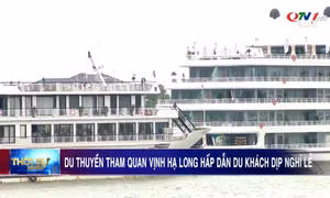 Du thuyền tham quan vịnh Hạ Long hấp dẫn du khách dịp nghỉ lễ