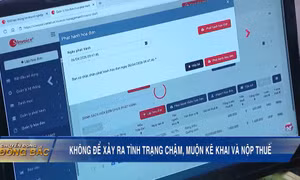 Không để xảy ra tình trạng chậm, muộn kê khai và nộp thuế
