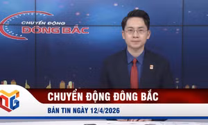 Chuyển động Đông Bắc ngày 12/4/2026