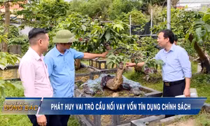 Phát huy vai trò cầu nối vay vốn tín dụng chính sách