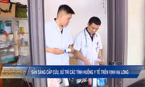 Sẵn sàng cấp cứu, xử trí các tình huống y tế trên Vịnh Hạ Long