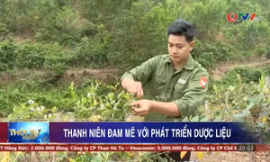 Thanh niên đam mê với phát triển dược liệu