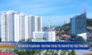 Quy hoạch đô thị Quảng Ninh - "Kim chỉ nam" cho mục tiêu Thành phố trực thuộc Trung ương