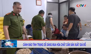 Cảnh báo tình trạng dễ dàng mua hóa chất cấm sản xuất giá đỗ