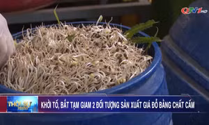 Khởi tố, bắt tạm giam 2 đối tượng sản xuất giá đỗ bằng chất cấm tại phường Quảng Yên