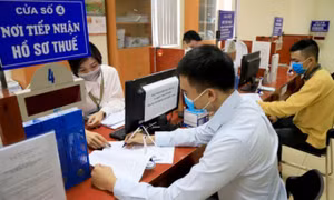 Gia hạn thời hạn nộp thuế, tiền thuê đất năm 2022