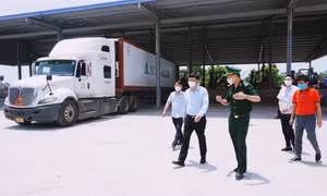 Tăng cường hơn nữa công tác phòng chống dịch trong hoạt động XNK