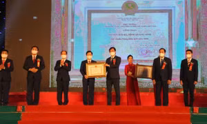 Các phong trào thi đua: Động lực thúc đẩy phát triển KT-XH