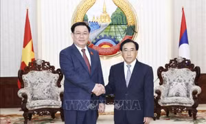 Chủ tịch Quốc hội Vương Đình Huệ hội kiến Thủ tướng Lào Phankham Viphavanh