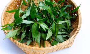 Ăn rau răm có làm giảm ham muốn?
