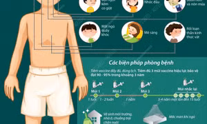 Viêm não Nhật Bản: Biểu hiện và cách phòng ngừa