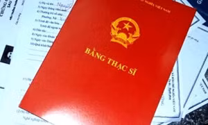 Bổ sung bằng thạc sĩ trong thời gian tập sự có được tăng lương?