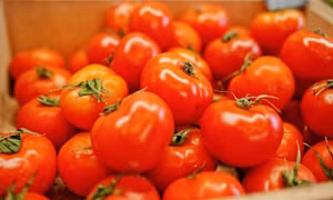 Vì sao ăn cà chua gây ra các vấn đề tiêu hóa?