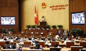 Không thu hẹp đối tượng xử phạt vi phạm hành chính về sở hữu trí tuệ
