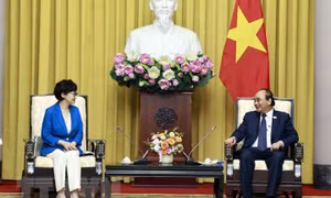 Chủ tịch nước Nguyễn Xuân Phúc tiếp Hội người Hàn Quốc tại Việt Nam