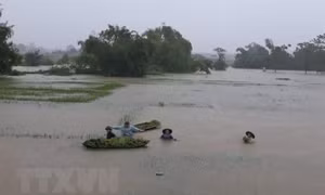 Các địa phương tiếp tục chịu nhiều thiệt hại do mưa lớn gây ngập