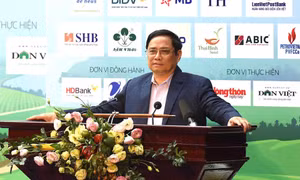Tiếp sức, hỗ trợ nông dân phục hồi, phát triển nông nghiệp, nông thôn bền vững
