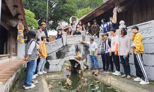 Sự cần thiết có một nghị định về hoạt động văn học