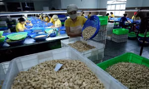 Để doanh nghiệp Việt vào chuỗi cung ứng toàn cầu