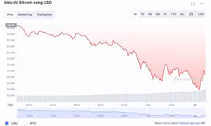 Bitcoin thủng mốc 30.000 USD