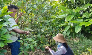 Chuyện xóa nghèo ở Đồn Đạc