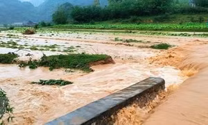 Vùng núi và trung du Bắc Bộ tiếp tục mưa to, đề phòng lũ quét, lở đất