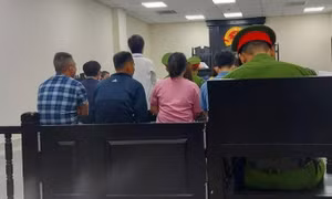 Ổ nhóm mua bán trẻ sơ sinh xuyên biên giới lĩnh án nặng