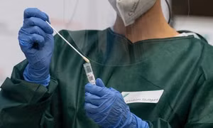 Nhà khoa học Bỉ giải trình tự gene của virus gây bệnh đậu mùa khỉ
