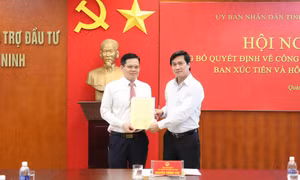 Trao quyết định bổ nhiệm Phó Trưởng Ban IPA