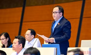 Đại biểu Quốc hội đề nghị sớm ban hành Luật về công tác dân tộc